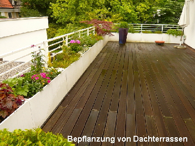 Dachterrasse